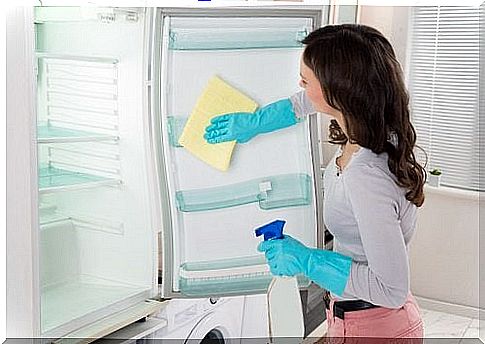 Cleaning products for refrigerator cleaning