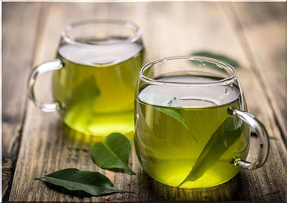 green tea effective plants for weight loss