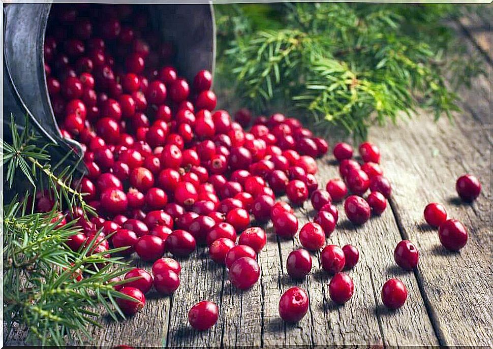 cranberries to improve memory