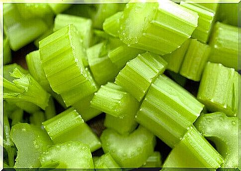 celery helps improve memory