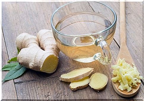 ginger tea for the treatment of fatty liver