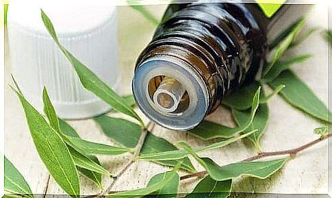 tea tree oil for bacterial vaginosis