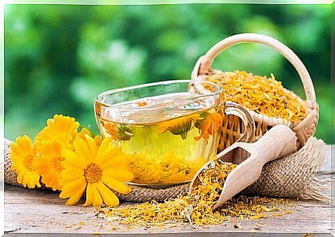 Marigold tea for the treatment of bacterial vaginosis