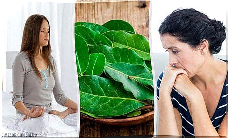 7 bay leaf health promoting properties