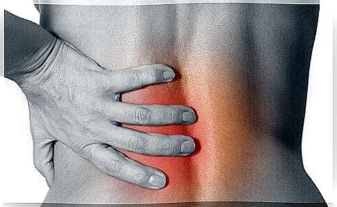 bay leaves help with back pain