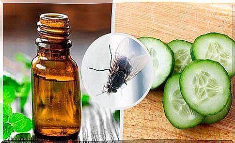 7 natural fly repellents