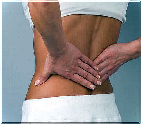 exercises to strengthen the lower back