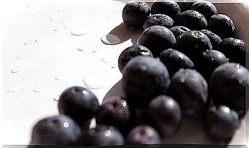 Natural painkillers: blueberries