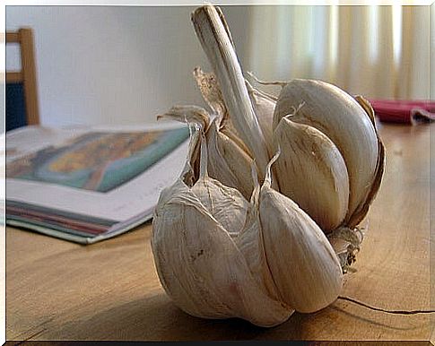 Natural painkillers: garlic