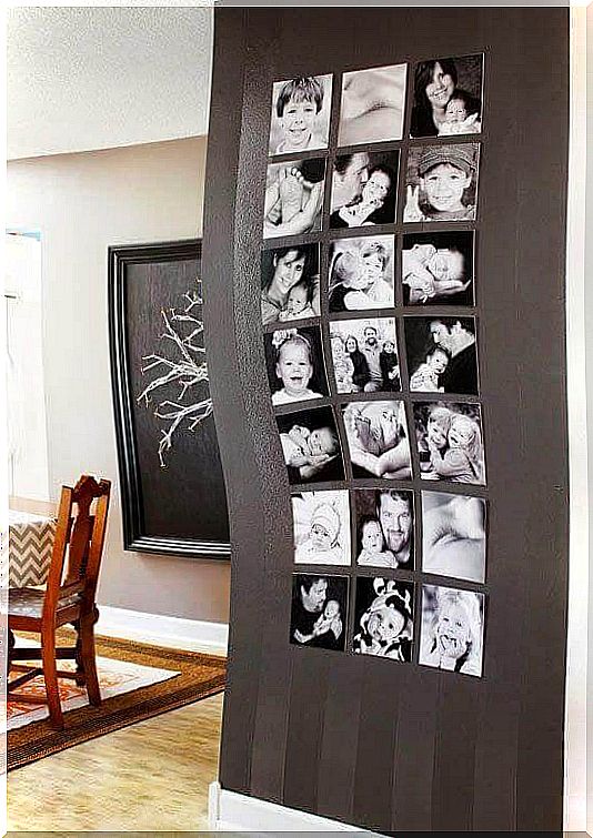 photo wall as a room divider