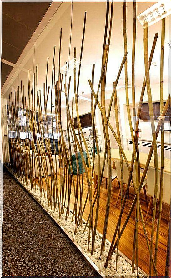 bamboo sticks as a room divider