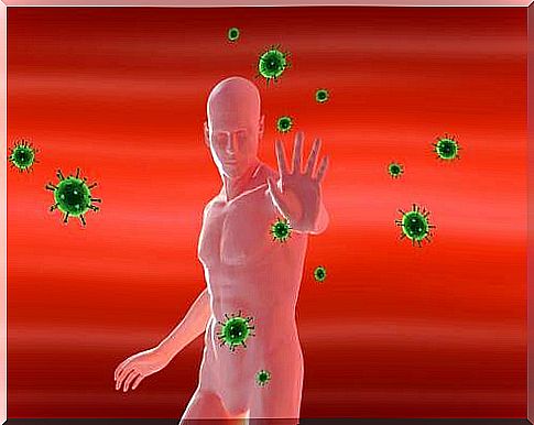 Antibodies are important for the functioning of the immune system