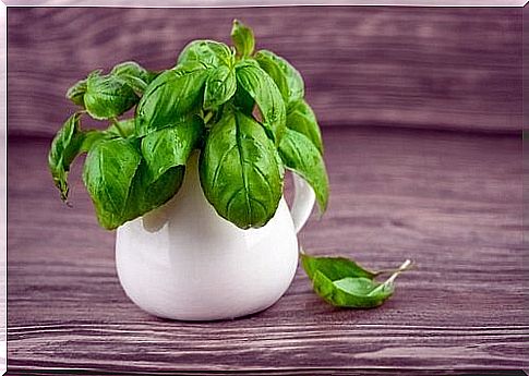 Basil has medicinal benefits