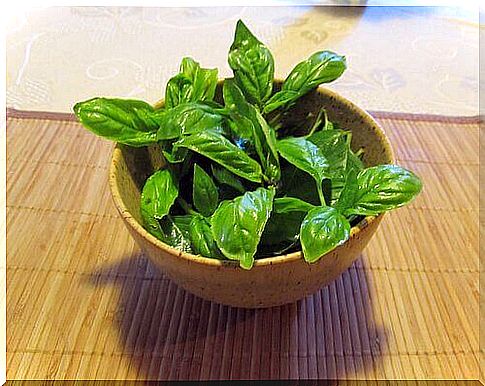 Basil promotes health