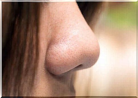 Different nose shapes: what shape nose do you have?