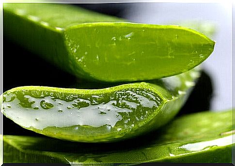 fight dandruff with aloe vera