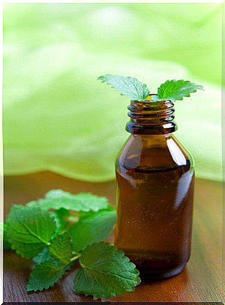 fight dandruff with mint