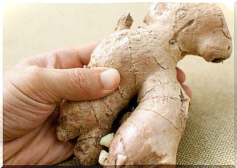 the health benefits of ginger