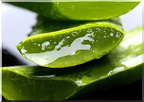 aloe veran gel