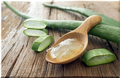 remove tartar with aloe vera