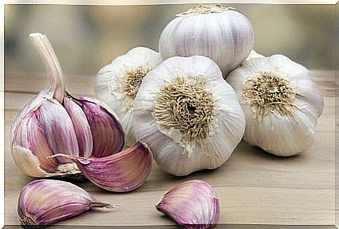 garlic as flea and tick repellents