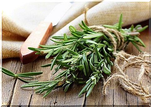 fresh rosemary