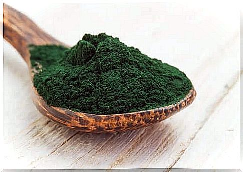 spirulina