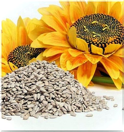 best seeds: sunflower