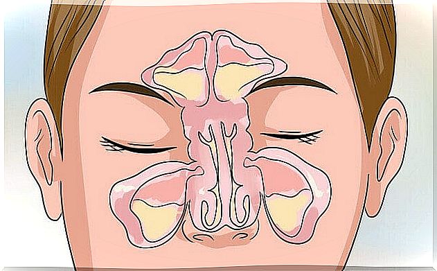 acupressure nasal point