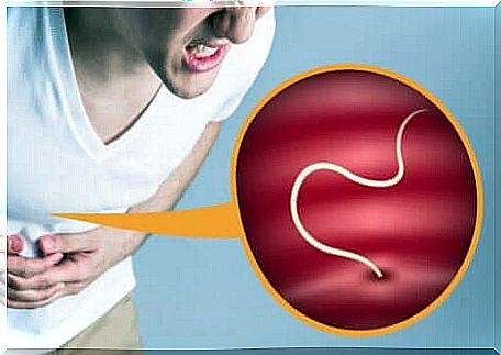 Food parasites can cause food poisoning