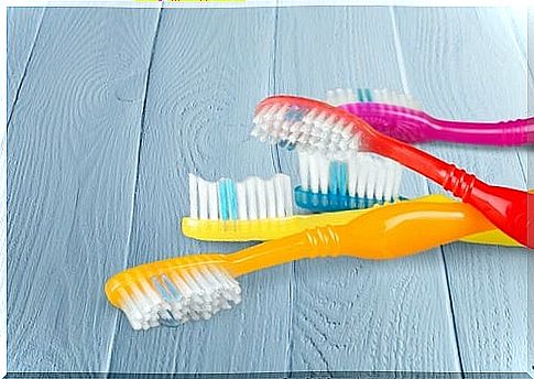 toothbrushes are full of bacteria