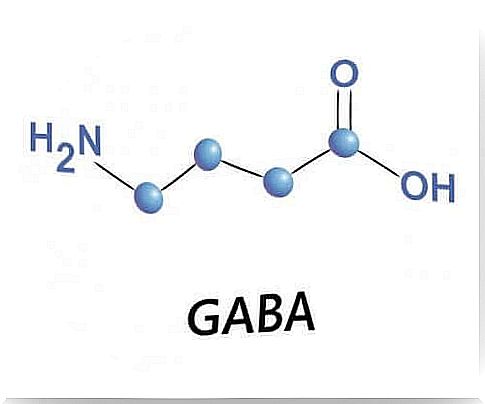 GABA