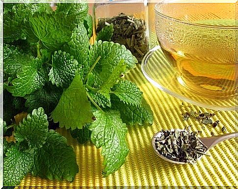 the top five teas for the stomach;  mint tea