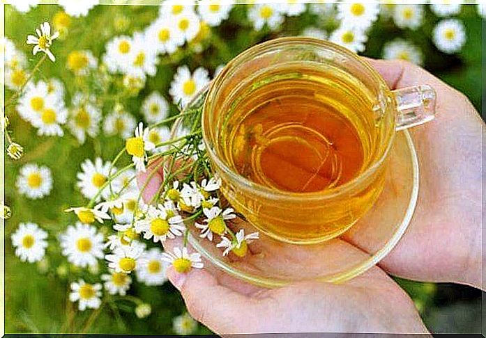 chamomile tea to promote sleep