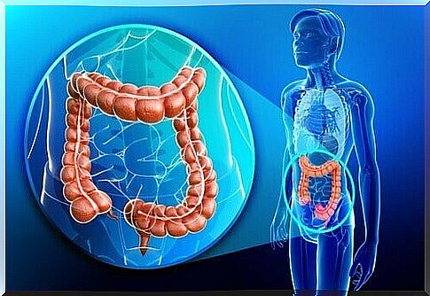 intestinal gases